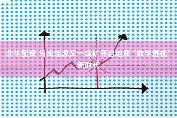 鼎牛配资 乌海能源又一煤矿开启地质“数字透视”新时代