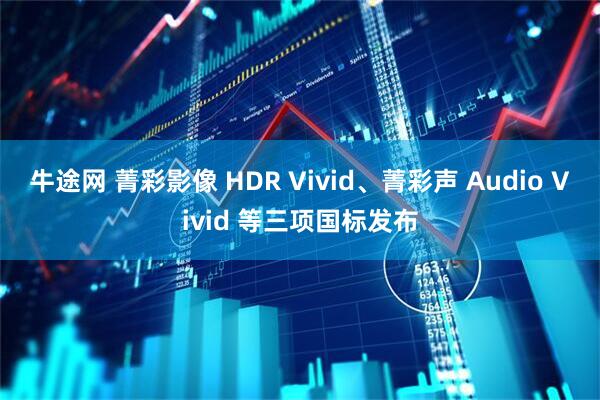 牛途网 菁彩影像 HDR Vivid、菁彩声 Audio Vivid 等三项国标发布