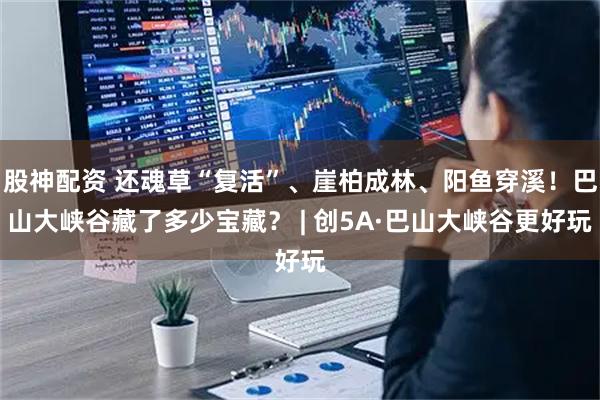 股神配资 还魂草“复活”、崖柏成林、阳鱼穿溪！巴山大峡谷藏了多少宝藏？ | 创5A·巴山大峡谷更好玩