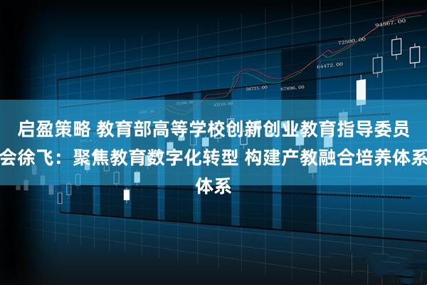 启盈策略 教育部高等学校创新创业教育指导委员会徐飞：聚焦教育数字化转型 构建产教融合培养体系