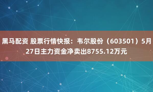 黑马配资 股票行情快报：韦尔股份（603501）5月27日主力资金净卖出8755.12万元