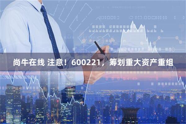 尚牛在线 注意！600221，筹划重大资产重组