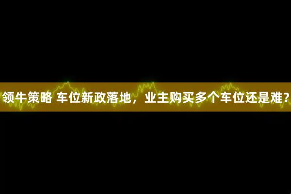 领牛策略 车位新政落地，业主购买多个车位还是难？