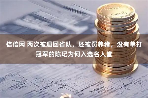 倍倍网 两次被退回省队，还被罚养猪，没有单打冠军的陈玘为何入选名人堂