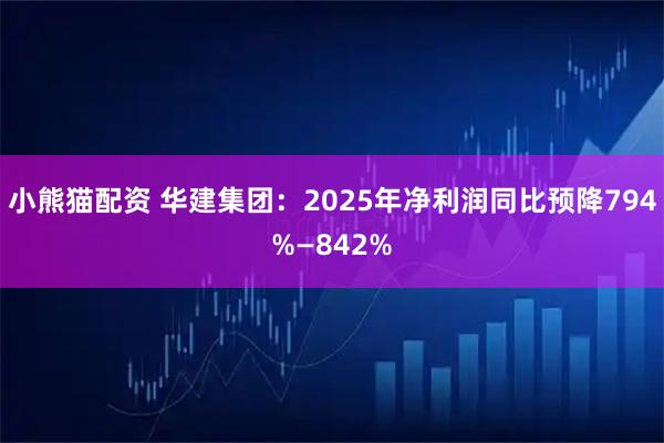 小熊猫配资 华建集团：2025年净利润同比预降794%—842%