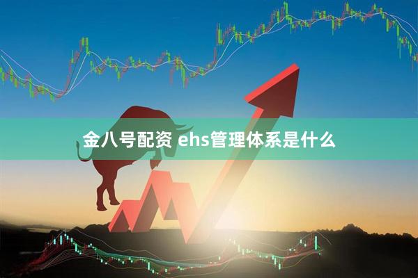金八号配资 ehs管理体系是什么