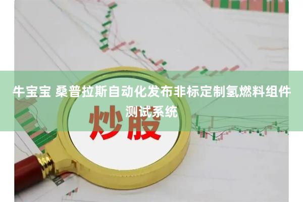 牛宝宝 桑普拉斯自动化发布非标定制氢燃料组件测试系统