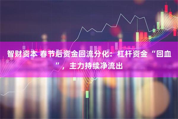 智财资本 春节后资金回流分化：杠杆资金 “回血”，主力持续净流出