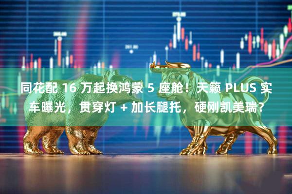 同花配 16 万起换鸿蒙 5 座舱！天籁 PLUS 实车曝光，贯穿灯 + 加长腿托，硬刚凯美瑞？