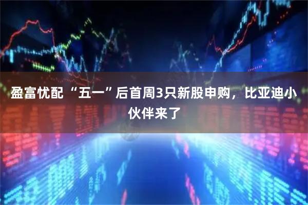 盈富忧配 “五一”后首周3只新股申购，比亚迪小伙伴来了