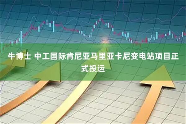 牛博士 中工国际肯尼亚马里亚卡尼变电站项目正式投运