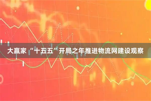 大赢家 “十五五”开局之年推进物流网建设观察