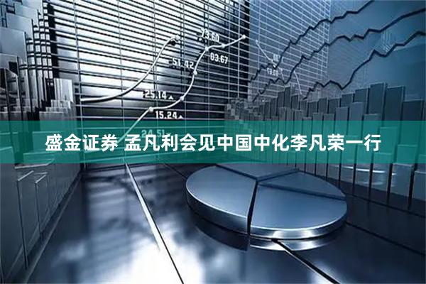 盛金证券 孟凡利会见中国中化李凡荣一行